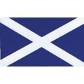 W4 Scotland Flag Medium Rectange