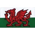W4 Welsh Dragon Medium Rectangle