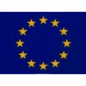 W4 Small Rectangle Euro Sticker - 37106