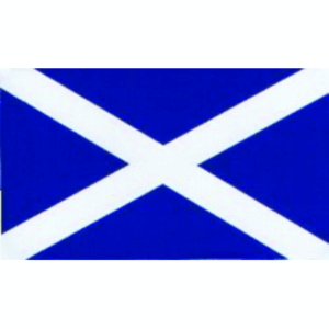 W4 Rectangle Scotland Flag Sticker - 37159