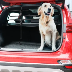 Streetwize Heavy Duty Pet Safety Car Hatchback 4x4 & Estate Dog Guard SWDG1