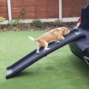 Streetwize Foldable Pet Ramp SWPET8